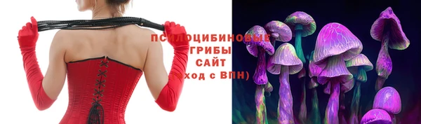 мдпв Туринск