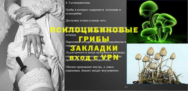 молекула духа Балабаново