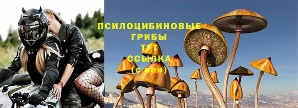 круглые Белокуриха