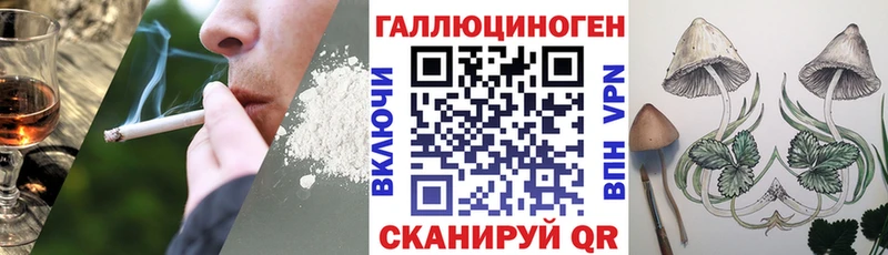 гидра ТОР Новый Уренгой Псилоцибиновые грибы Psilocybine cubensis купить