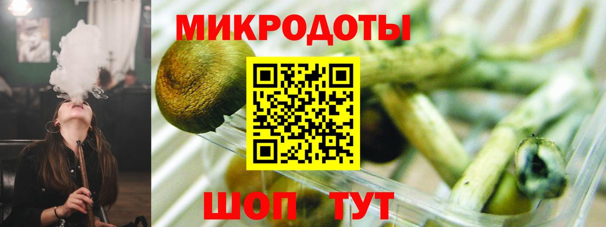 Псилоцибиновые грибы Cubensis Новый Уренгой